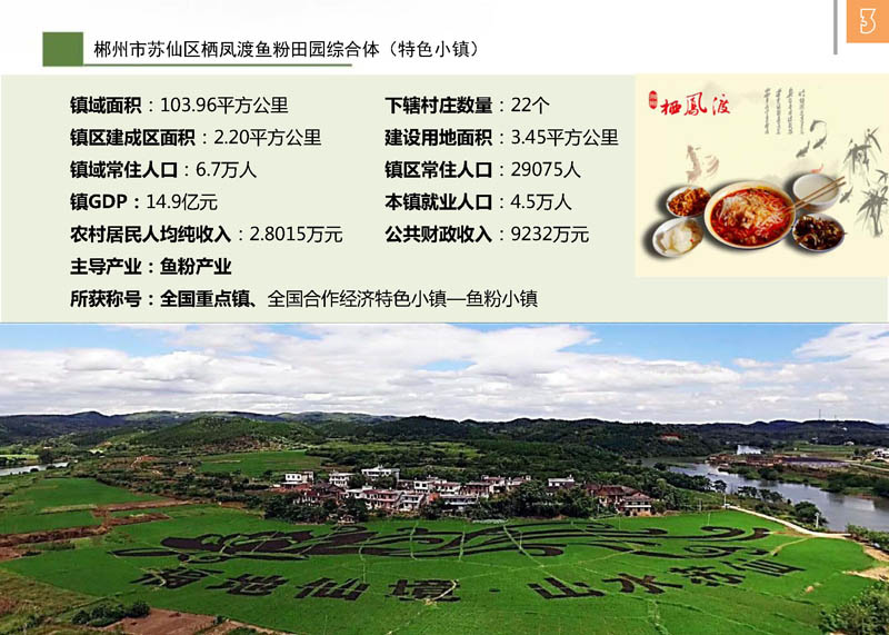 郴州市苏仙区栖凤渡鱼粉田园综合体（特色小镇）(图2)