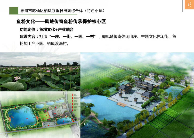 郴州市苏仙区栖凤渡鱼粉田园综合体（特色小镇）(图9)
