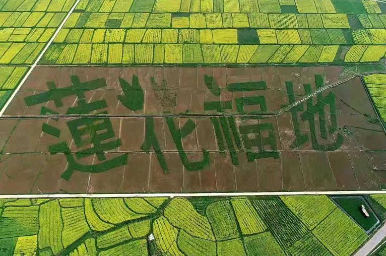 为落实生态产品价值实现机制文件精神——吉内得富硒大米获得国家生(图8)